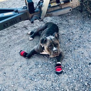 Meet your Posher, Max